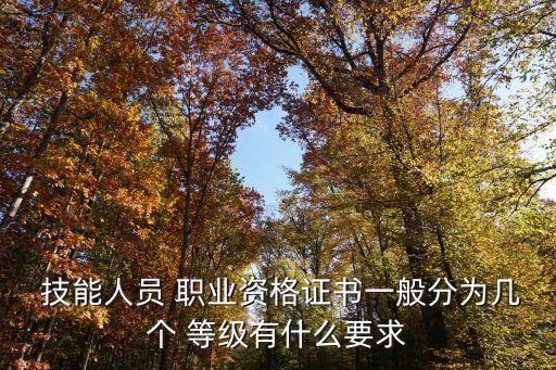  技能人员 职业资格证书一般分为几个 等级有什么要求