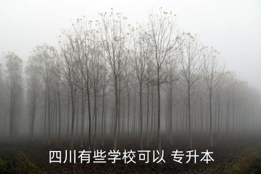  四川有些学校可以 专升本