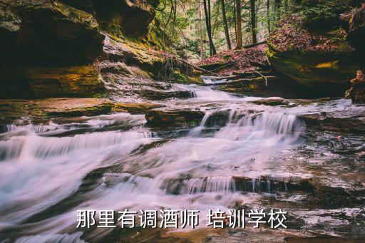 那里有调酒师 培训学校