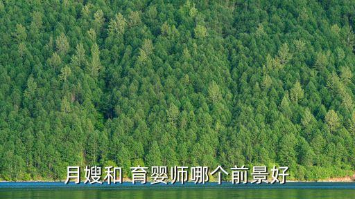 月嫂和 育婴师哪个前景好