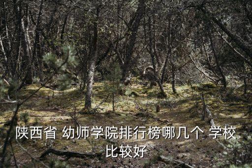 陕西省 幼师学院排行榜哪几个 学校比较好