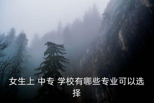 女子中专学什么职业学校吗,中专学计算机可以从事什么职业