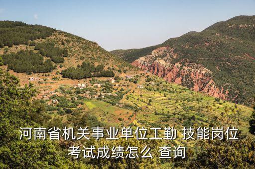  河南省机关事业单位工勤 技能岗位考试成绩怎么 查询