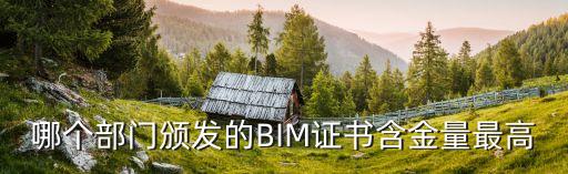哪个部门颁发的BIM证书含金量最高