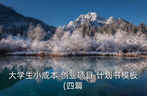 职业学校就业带动创业项目计划书,创业项目带动就业怎么写