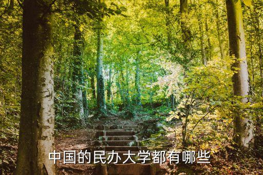 中国的民办大学都有哪些`