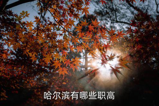 文昌职业技术学校