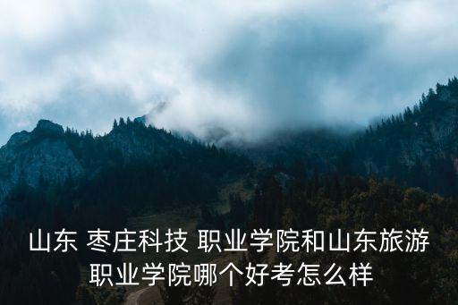 山东 枣庄科技 职业学院和山东旅游 职业学院哪个好考怎么样