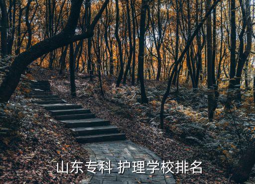  山东专科 护理学校排名