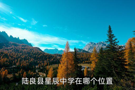 陆良县星辰中学在哪个位置