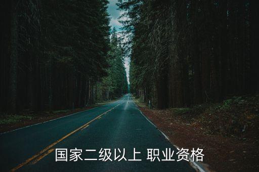 国家二级以上 职业资格