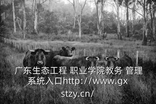 广东技术职业学校招聘信息管理系统,广东职业技术大学是几本