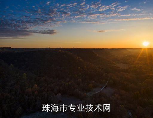 珠海市专业技术网