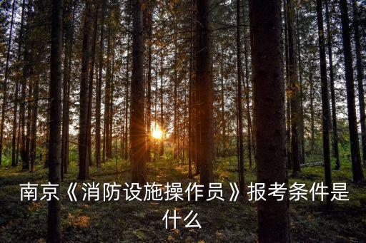  南京《消防设施操作员》报考条件是什么