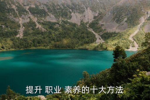 提升 职业 素养的十大方法