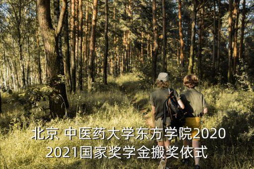  北京 中医药大学东方学院20202021国家奖学金搬奖依式
