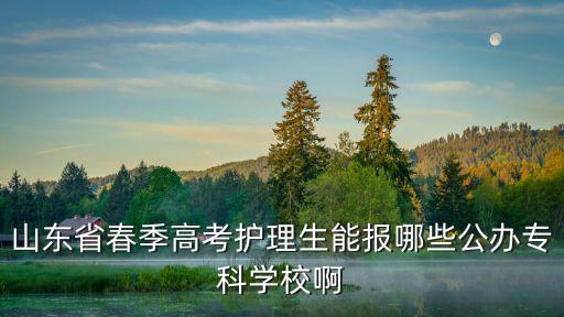 山东省春季高考护理生能报哪些公办专科学校啊