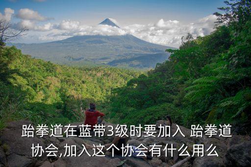  跆拳道在蓝带3级时要加入 跆拳道协会,加入这个协会有什么用么