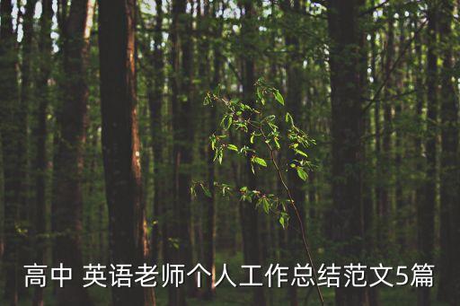 高中 英语老师个人工作总结范文5篇