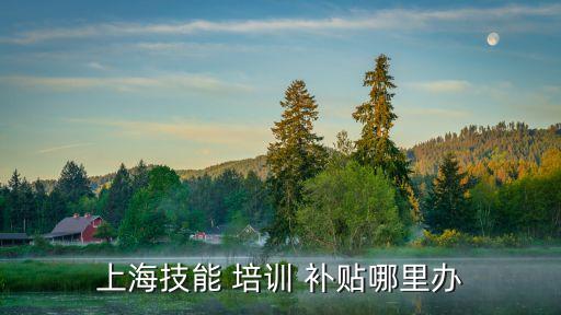 上海技能 培训 补贴哪里办