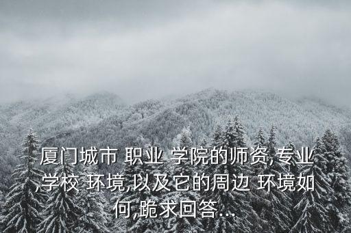  厦门城市 职业 学院的师资,专业,学校 环境,以及它的周边 环境如何,跪求回答...