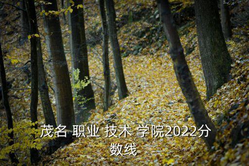  茂名 职业 技术 学院2022分数线