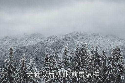 会计职业的前景,会计的职业有哪些