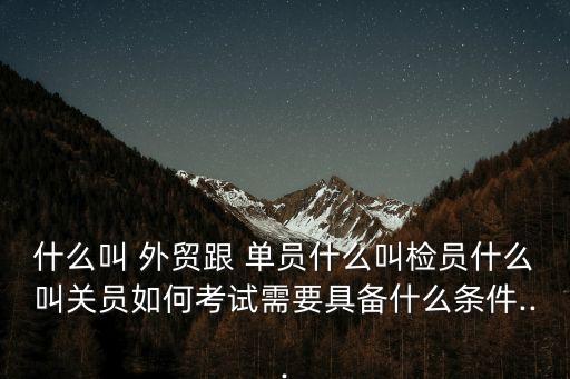 什么叫 外贸跟 单员什么叫检员什么叫关员如何考试需要具备什么条件...