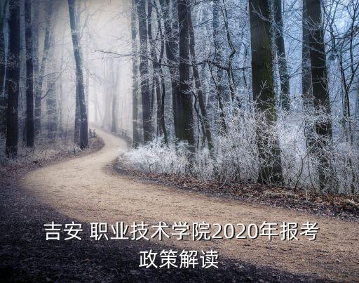  吉安 职业技术学院2020年报考政策解读
