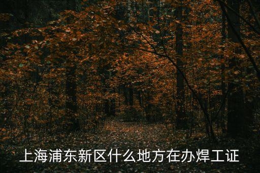 上海浦东新区什么地方在办焊工证
