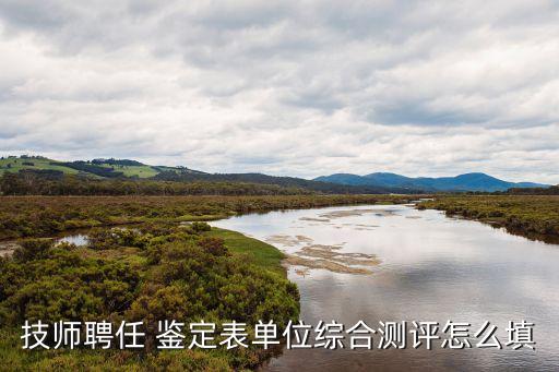 技师聘任 鉴定表单位综合测评怎么填