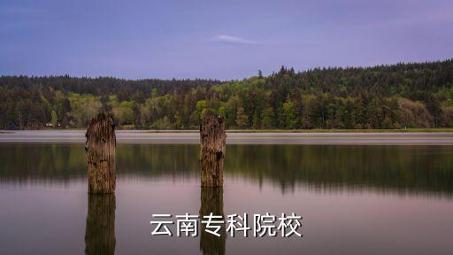 云南专科院校