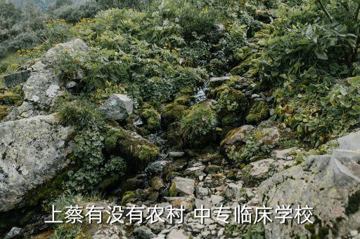 上蔡有没有农村 中专临床学校