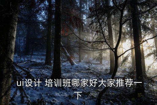 ui设计 培训班哪家好大家推荐一下