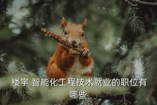  楼宇 智能化工程技术就业的职位有哪些