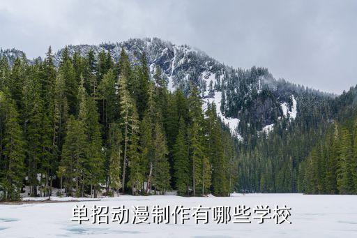  单招动漫制作有哪些学校