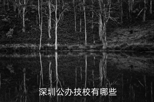  深圳公办技校有哪些