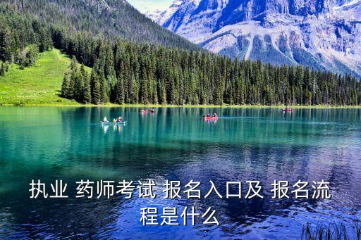 执业 药师考试 报名入口及 报名流程是什么