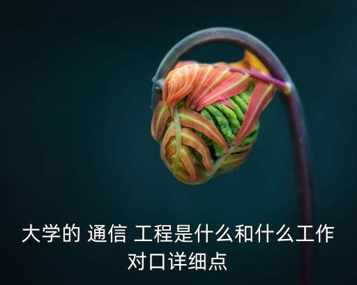 大学的 通信 工程是什么和什么工作对口详细点