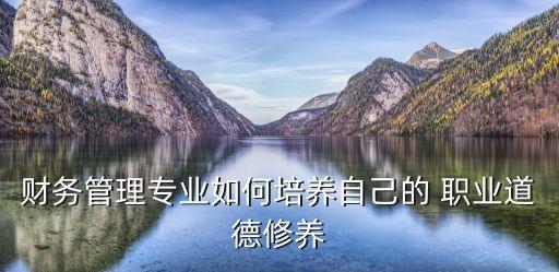 会计职业道内容,会计的职业内容