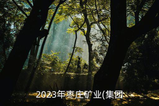 薛城职业中专高中部,莘县职业中专高中部怎么样