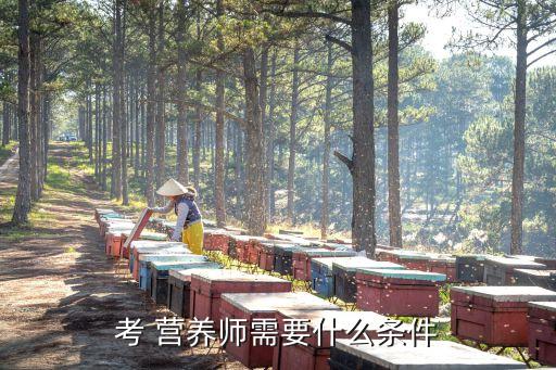 考 营养师需要什么条件