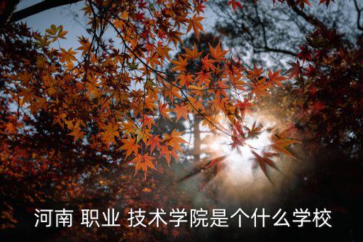  河南 职业 技术学院是个什么学校