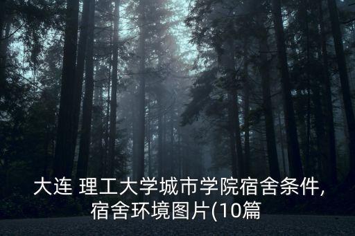  大连 理工大学城市学院宿舍条件,宿舍环境图片(10篇