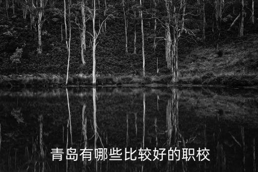  青岛有哪些比较好的职校