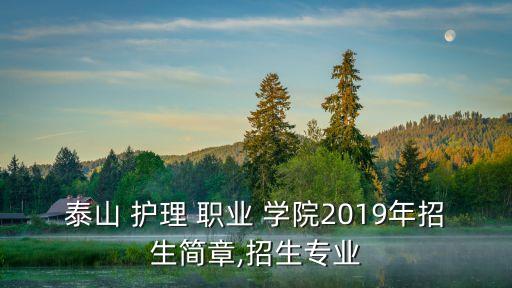 泰山 护理 职业 学院2019年招生简章,招生专业