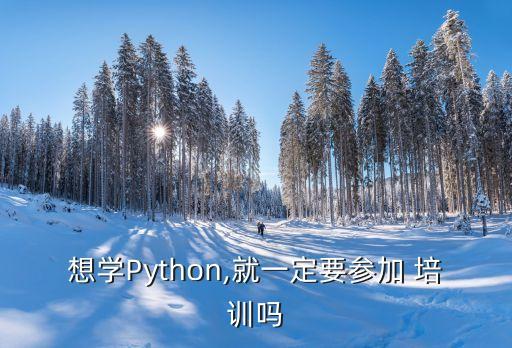 想学Python,就一定要参加 培训吗