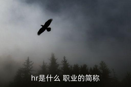 hr是什么 职业的简称