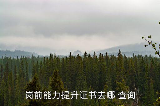 岗前能力提升证书去哪 查询