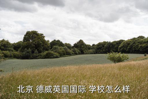 北京 德威英国国际 学校怎么样